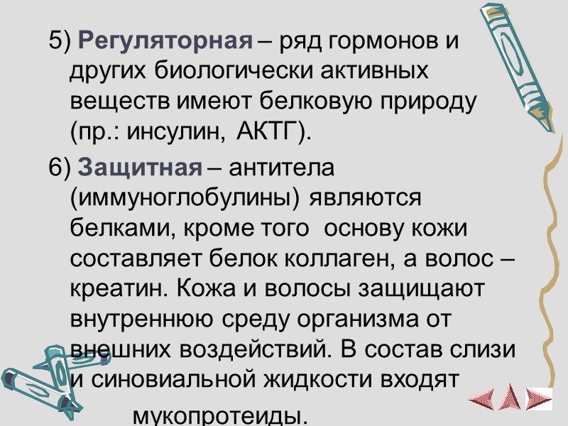 5) Регуляторная – ряд гормонов и других биологически активных веществ имеют белковую природу (пр.: